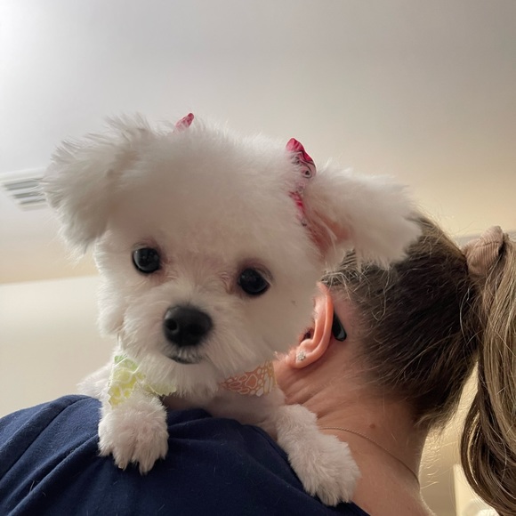 Meet your Posher, Melissa - Picture 2 of 2